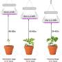 LED Grow Light 1000W, WY CN Upgraded Full Spectrum Dual chip Plant Grow Light with Daisy Chain Design for Hydroponic Indoor Plants, Seeding, Flowering Fruiting Grow lamp( 10W LEDs 100Pcs)