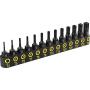 LEXIVON Tamper Proof Torx Bit Set, Premium S2 Alloy Steel | 13-Piece Security Star Bits, T4 - T40 | Precision CNC Machined (LX-301)