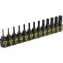 LEXIVON Tamper Proof Torx Bit Set, Premium S2 Alloy Steel | 13-Piece Security Star Bits, T4 - T40 | Precision CNC Machined (LX-301)