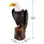 chisheen Bald Eagle Outdoor Metal Yard Art Statue and Sculpture for Garden Lawn Patio Living Room Decoration chisheen Bald Eagle Outdoor Metal Yard Art Statue and Sculpture for Garden Lawn Patio Living Room Decoration