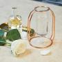 PuTwo Vases Set of 2 Metal Flower Vase Glass Vase Planter Terrariums Gold Vases Rose Gold Vase Plant Vase Glass Vases Cylinder Vase for Decor Valentines Day Gifts Girlfriend Valentines Gifts for Her
