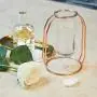PuTwo Vases Set of 2 Metal Flower Vase Glass Vase Planter Terrariums Gold Vases Rose Gold Vase Plant Vase Glass Vases Cylinder Vase for Decor Valentines Day Gifts Girlfriend Valentines Gifts for Her PuTwo Vases Set of 2 Metal Flower Vase Glass Vase Planter Terrariums Gold Vases Rose Gold Vase Plant Vase Glass Vases Cylinder Vase for Decor Valentines Day Gifts Girlfriend Valentines Gifts for Her