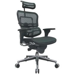 Ergohuman Eurotech Mesh Chair - 18.1A 22.9'' Seat Height - High-Back Chair with Headrest - Green - Green