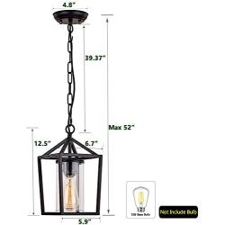 Capslpad Outdoor Pendant Light for Porch,1-Light Modern Metal Vintage Cage Hanging Lantern Light Adjustable Pendant Light Fixtures with Glass Shade for Porch,Entryway,Doorway,Farmhouse,Foyer