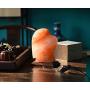 JIC Gem Heart Salt Lamp 7-8 lb Hand Crafted Pink Salt Rock Lamp with Dimmer Switch and Bulbs, Perfect Gift Lamp