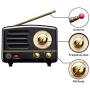 Retro Bluetooth Speaker, MUZEN OTR Metal Vintage FM/AUX Radio with Old Fashioned Classic Style, Portable Wireless Loud Volume Speaker for Home, Office, Kitchen,Party,Travel,Outdoor