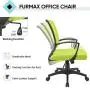 Furmax Office Chair Mid Back Swivel Lumbar Support Desk Chair, Computer Ergonomic Mesh Chair with Armrest (Cyan) Furmax Office Chair Mid Back Swivel Lumbar Support Desk Chair, Computer Ergonomic Mesh Chair with Armrest (Cyan)