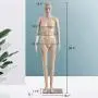 Female Mannequin Full Body Mannequin Torso, Adjustable Manikin Stand Dress Form Dress Model Dressmakers Mannequin Plastic Realistic Display Mannequin with Metal Base 69 Inch Female Mannequin Full Body Mannequin Torso, Adjustable Manikin Stand Dress Form Dress Model Dressmakers Mannequin Plastic Realistic Display Mannequin with Metal Base 69 Inch