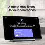 Samsung Galaxy Tab S5e 128 GB Wifi Tablet Silver (2019) - SM-T720NZSLXAR (Renewed)