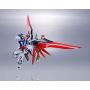 TAMASHII NATIONS Bandai Metal Robot Spirits Destiny Gundam Mobile Suit Gundam: Seed Destiny Action Figure