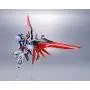 TAMASHII NATIONS Bandai Metal Robot Spirits Destiny Gundam Mobile Suit Gundam: Seed Destiny Action Figure TAMASHII NATIONS Bandai Metal Robot Spirits Destiny Gundam Mobile Suit Gundam: Seed Destiny Action Figure
