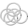 Flat Key Rings 10 Pieces 1 inches Flat Key Rings Metal Keychain Rings Split Keyrings Flat O Ring for Home Car Office Keys Attachment(silver) Flat Key Rings 10 Pieces 1 inches Flat Key Rings Metal Keychain Rings Split Keyrings Flat O Ring for Home Car Office Keys Attachment(silver)