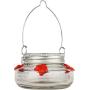 Natures Way Bird Products MJF1 Natures Way Mason Jar Hummingbird Dish Feeder, Clear