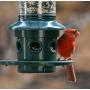 Squirrel Buster Plus Squirrel-proof Bird Feeder w/Cardinal Ring and 6 Feeding Ports, 5.1-pound Seed Capacity, Adjustable, Pole-mountable (POLE ADAPTOR SOLD SEPARATELY), Green