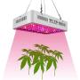 LED Grow Light 1000W, WY CN Upgraded Full Spectrum Dual chip Plant Grow Light with Daisy Chain Design for Hydroponic Indoor Plants, Seeding, Flowering Fruiting Grow lamp( 10W LEDs 100Pcs)