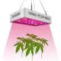 LED Grow Light 1000W, WY CN Upgraded Full Spectrum Dual chip Plant Grow Light with Daisy Chain Design for Hydroponic Indoor Plants, Seeding, Flowering Fruiting Grow lamp( 10W LEDs 100Pcs) LED Grow Light 1000W, WY CN Upgraded Full Spectrum Dual chip Plant Grow Light with Daisy Chain Design for Hydroponic Indoor Plants, Seeding, Flowering Fruiting Grow lamp( 10W LEDs 100Pcs)