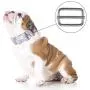 Tatuo 50 Pieces Slide Buckle 1 Inch Metal Tri-Glide Slides Silvery Slide Buckle Rectangle Adjustable Webbing Slider for Fasteners, Strap, Backpack DIY Accessories Tatuo 50 Pieces Slide Buckle 1 Inch Metal Tri-Glide Slides Silvery Slide Buckle Rectangle Adjustable Webbing Slider for Fasteners, Strap, Backpack DIY Accessories
