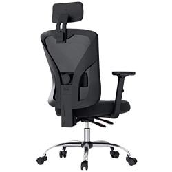 Hbada Ergonomic Office Desk Chair with Adjustable Armrest, Lumbar Support, Headrest and Breathable Skin-Friendly Mesh, Black