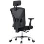 Hbada Ergonomic Office Desk Chair with Adjustable Armrest, Lumbar Support, Headrest and Breathable Skin-Friendly Mesh, Black