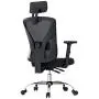 Hbada Ergonomic Office Desk Chair with Adjustable Armrest, Lumbar Support, Headrest and Breathable Skin-Friendly Mesh, Black