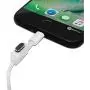 PortPlugs Aluminum Dust Plugs (2 Pack) Compatible with iPhone 12, 11, X, XS, XR, 8, 7, Plus, Max, Pro, Includes Cord Holder and Cleaning Brush (Gun Metal) PortPlugs Aluminum Dust Plugs (2 Pack) Compatible with iPhone 12, 11, X, XS, XR, 8, 7, Plus, Max, Pro, Includes Cord Holder and Cleaning Brush (Gun Metal)