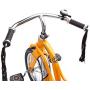 Schwinn Roadster Tricycle for Toddlers and Kids