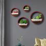 Ecosides Wall Mounted Planter Wall Hanging Planters Metal Plant Terrarium for Indoor Planter, Faux Flower Air Plant Holders Decorative Morden Circle Iron Vase for Succulent Wall Decor(8'' H, Red)