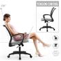 Office Chair Ergonomic Desk Chair Mesh Computer Chair with Lumbar Support Armrest Mid Back Rolling Swivel Task Adjustable Chair for Women Adults, Grey