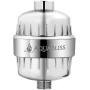AquaBliss High Output Revitalizing Shower Filter - Reduces Dry Itchy Skin, Dandruff, Eczema, and Dramatically Improves The Condition of Your Skin, Hair and Nails - Chrome (SF100)