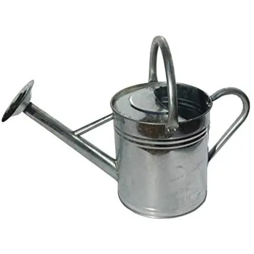 Gardeners Select AW3003P6G Watering Can, Galvanized, 3.5 L