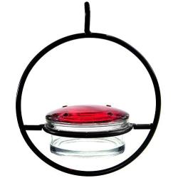 Best Small Hanging Hummingbird Feeder - Beautiful Glass & Decorative Metal Design - Attracts Hummers Like Crazy - 100% Guaranteed!