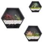 Ecosides Mixed 3 Iron Honeycomb Wall Planter Indoor, Hexagon Wall Hanging Planter, Geometric Terrarium, Wall Vase Florarium, Metal Planter for Wall Decor, Hanging Terrarium (Black)