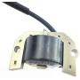 TIKSCIENCE Ignition Coil, Coils Module for Kawasaki John Deere FH Series FH430 FH500V FH531 FH541V FH580V FH601V Parts Engines, Replaces 21171-7007 AM121820-2Pcs