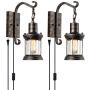 GLADFRESIT 2 Pack Rustic Wall Sconce Wire Cage Set of Two Metal Edison Wall Lamp, Indoor Farmhouse Lights Fixture Adjustable Vintage Lighting (Bulb Not Included)