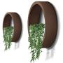 SHES HOME Morden Round Indoor Wall Succulent Hanging Planter, Metal Decorative Freestanding Mount Holder with Glass (Dark-Brown)