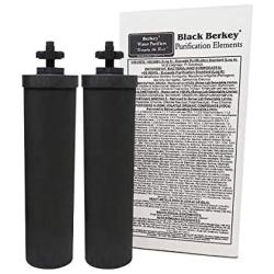 Berkey Authentic Black Berkey Purification Elements - Berkey Water Purifier Replacement Filters (Pack of 2)