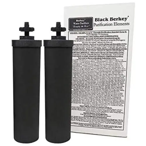 Berkey Authentic Black Berkey Purification Elements - Berkey Water Purifier Replacement Filters (Pack of 2)