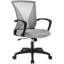 Office Chair Ergonomic Desk Chair Mesh Computer Chair with Lumbar Support Armrest Mid Back Rolling Swivel Task Adjustable Chair for Women Adults, Grey