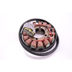 Ricks Motorsport Electric Stator 21-234