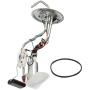 Delphi HP10187 Fuel Pump Hanger Assembly