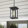 Emliviar Outdoor Pendant Lights for Porch, 1-Light Exterior Hanging Light Fixtures, Black Finish with Seeded Glass, 1803EW1-H