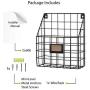 Wall35 Rivista File Holder Home Office Desk Organizer, Chicken Wire Mail Organizer and Magazine Holder, Metal, Black