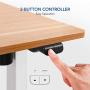 Flexispot Standing Desk Height Adjustable Desk Electric Sit Stand Desk 48 x 24 Inches Home Office Desks (White Frame + Maple Top)