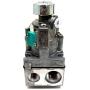 Heat & Glo HHT Dexen IPI NG Valve (750-500)