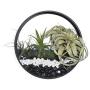 Round Hanging Wall Planters Metal Plant Containers Contemporary Morden Circle Iron Vase for Succulents or Herbs - Perfect Wall Decor for Air Plants Faux Plants Cacti and More, Black (Large)