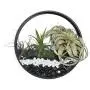 Round Hanging Wall Planters Metal Plant Containers Contemporary Morden Circle Iron Vase for Succulents or Herbs - Perfect Wall Decor for Air Plants Faux Plants Cacti and More, Black (Large) Round Hanging Wall Planters Metal Plant Containers Contemporary Morden Circle Iron Vase for Succulents or Herbs - Perfect Wall Decor for Air Plants Faux Plants Cacti and More, Black (Large)