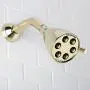 Speakman S-2252-PB Signature Brass Icon Anystream High Pressure Adjustable Shower Head, Polished Brass Speakman S-2252-PB Signature Brass Icon Anystream High Pressure Adjustable Shower Head, Polished Brass