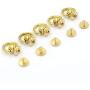 DGOL 10 Sets Brass Nail Rivet Chicago Stud Screw 360 Degree Rotate Ball Post Head Buttons with D Ring