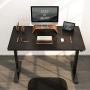 Flexispot Standing Desk Height Adjustable Desk Electric Sit Stand Desk 48 x 24 Inches Home Office Desks with Splice Board (Black Frame + Black Top)