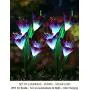 Bright Zeal 2 Bundle 8 Lily LED Fairy Solar Garden Light with Color Changing Flower Lights - Multi Color Solar Lights Outdoor Garden LED Flower Waterproof - Solar Power Purple Lily Flower LED Light Bright Zeal 2 Bundle 8 Lily LED Fairy Solar Garden Light with Color Changing Flower Lights - Multi Color Solar Lights Outdoor Garden LED Flower Waterproof - Solar Power Purple Lily Flower LED Light